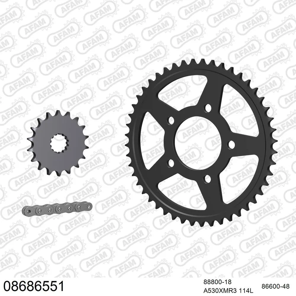 AFAM Kettensatz Stahl 530 XMR3 18x48 - Triumph Tiger 900 1992-98 - 08686551