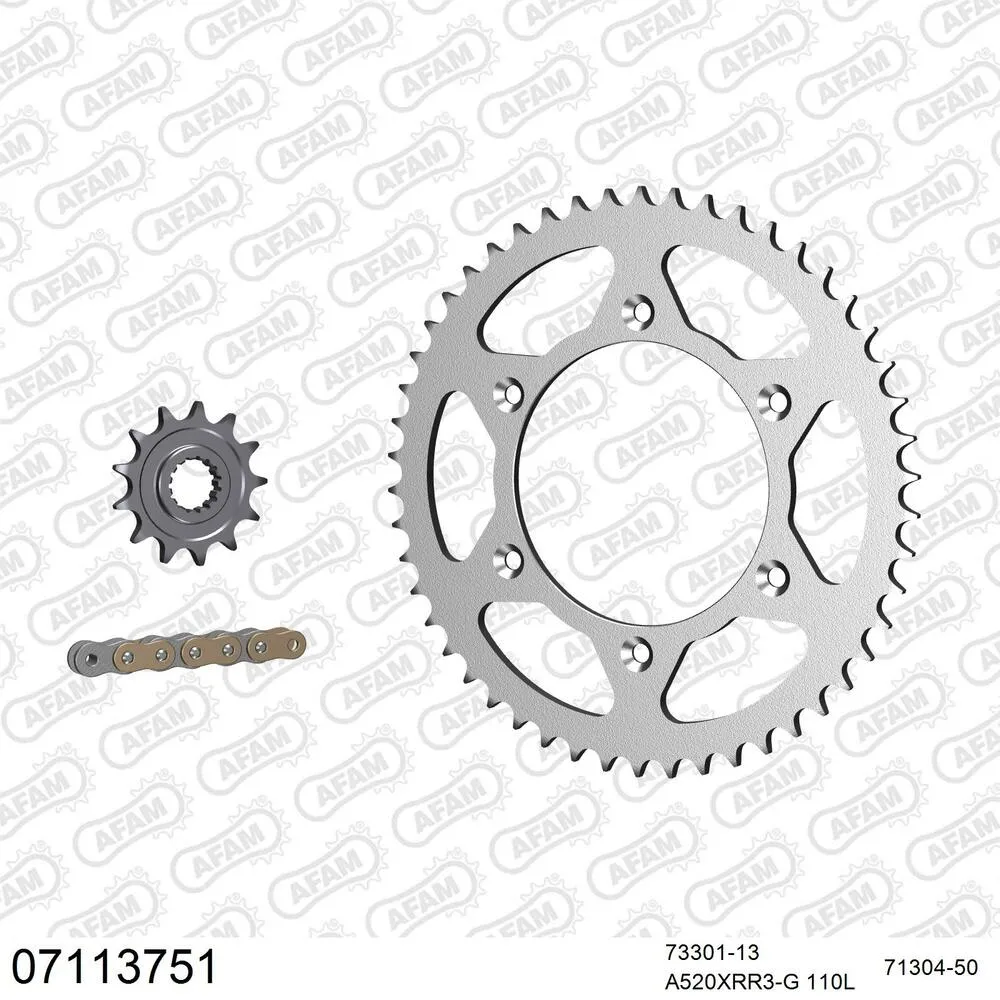AFAM Kettensatz Stahl 520 XRR3-G 13x50 - KTM GS 125 1994-97 - 07113751