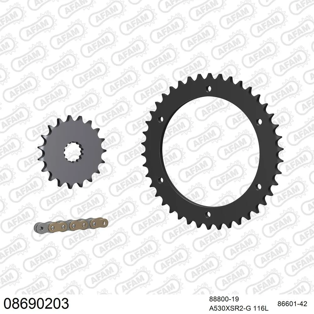 AFAM Kettensatz Stahl 530 XSR2-G 19x42 - Triumph Sprint 1050 GT ABS 2010-16 - 08690203