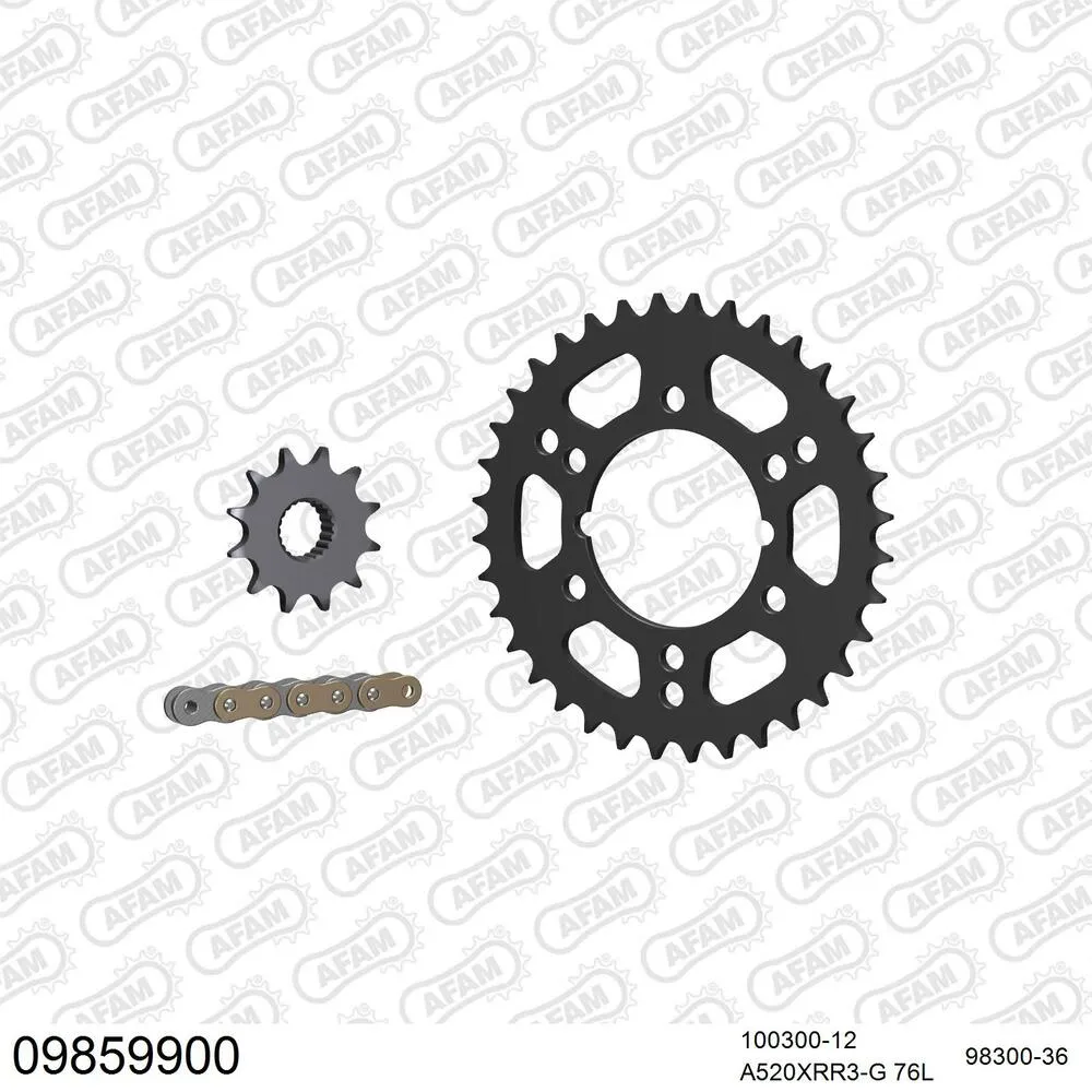 09859900 AFAM Kettensatz Stahl 520 XRR3-G 12x36 - Polaris 500 Scrambler 2000-09 - 09859900