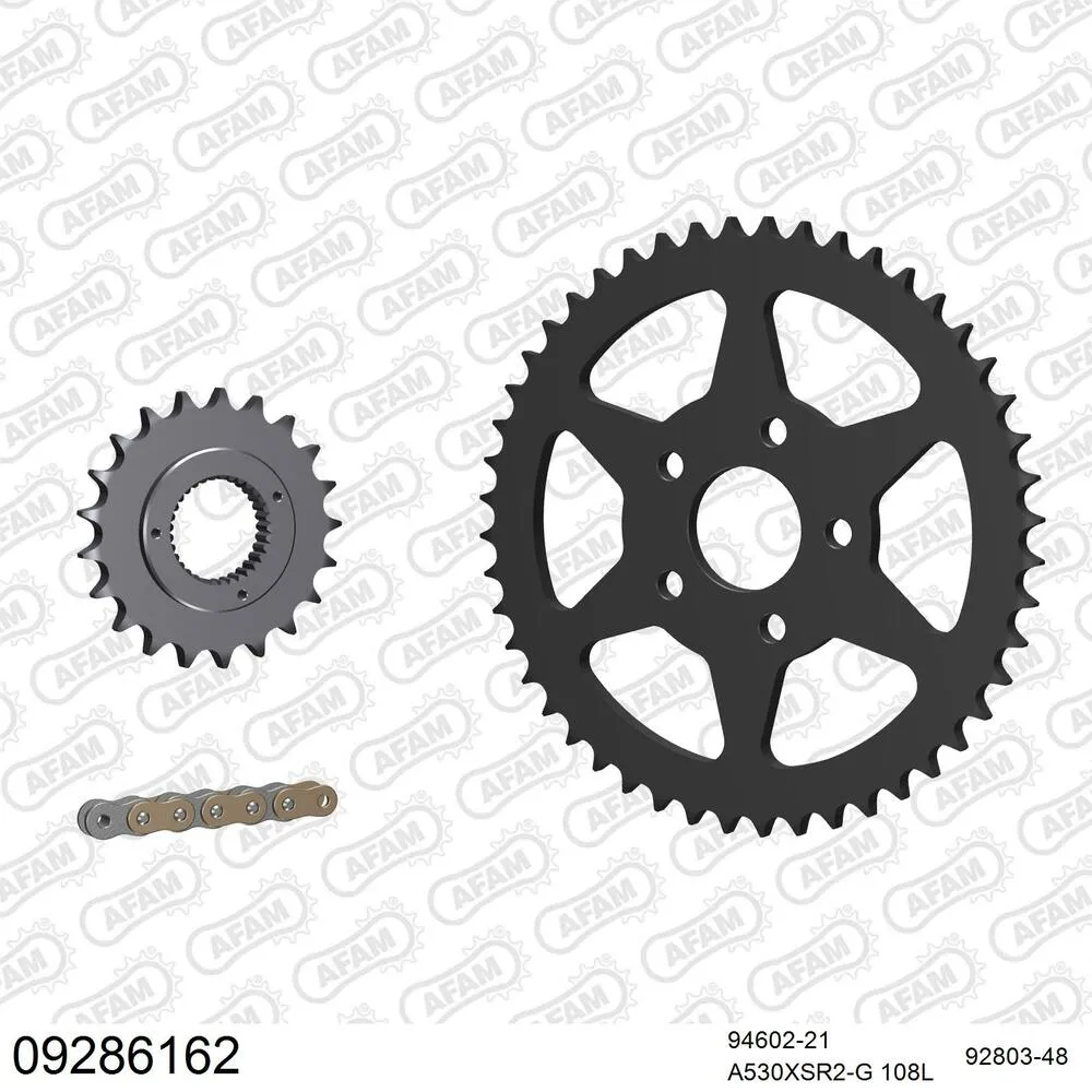 AFAM Kettensatz Stahl 530 XSR2-G 21x48 - Harley Davidson XLH 883 5 speed Sportster 1991-92 - 0928616