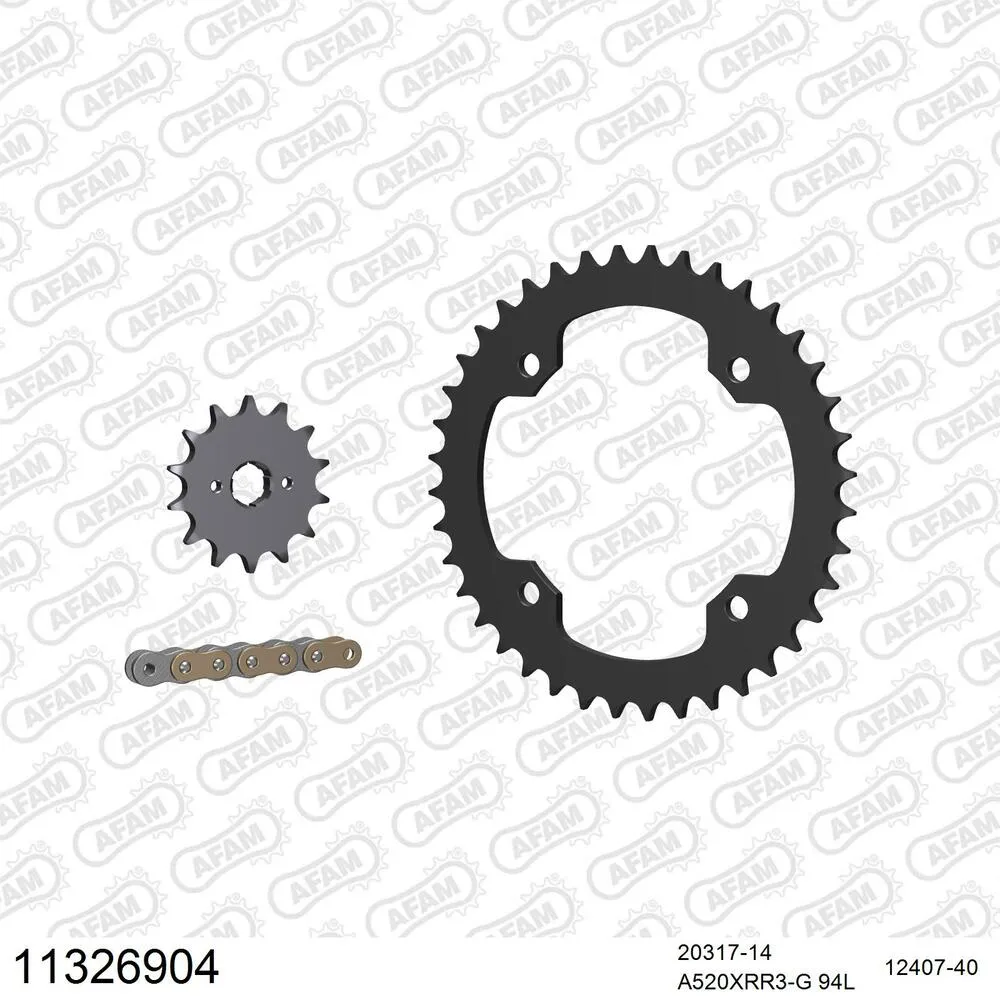 AFAM Kettensatz Stahl 520 XRR3-G 14x40 - Barossa 250 Silverhawk Inverse 2006-07 - 11326904