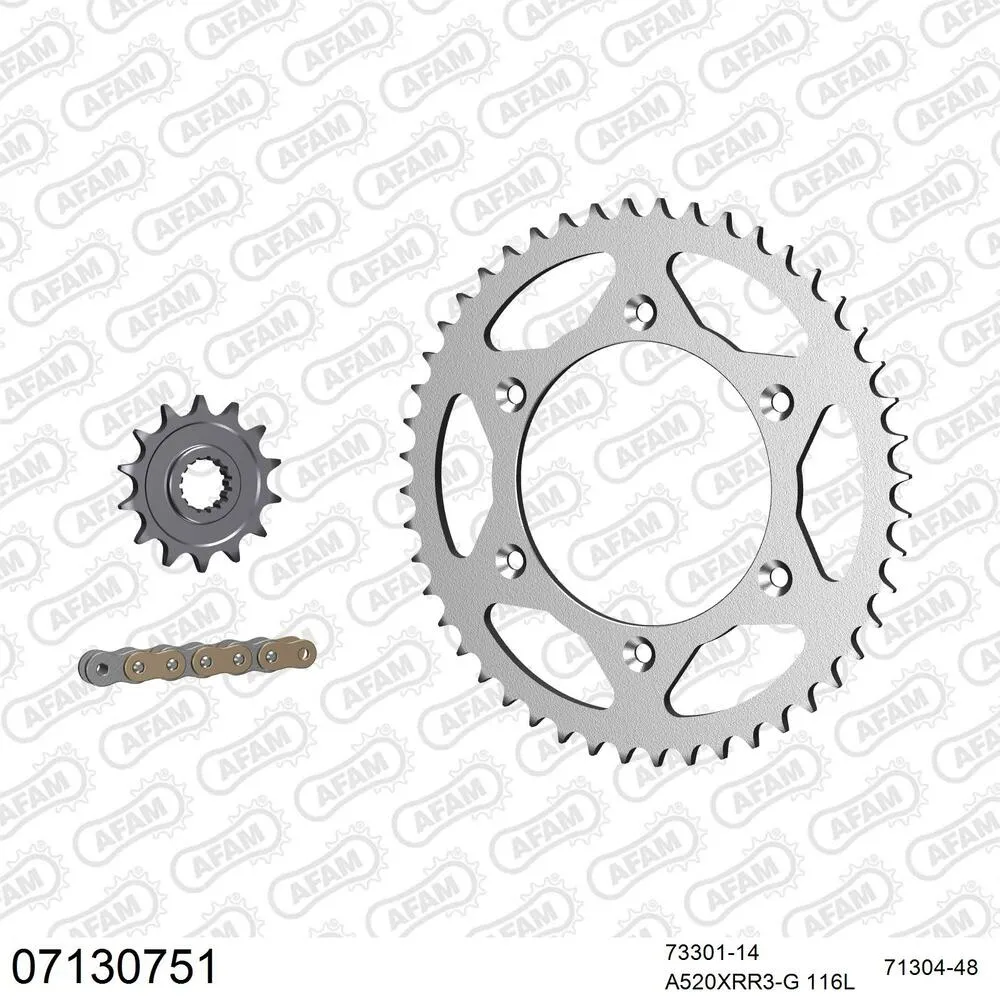 AFAM Kettensatz Stahl 520 XRR3-G 14x48 - KTM EGS 300 1990-99 - 07130751
