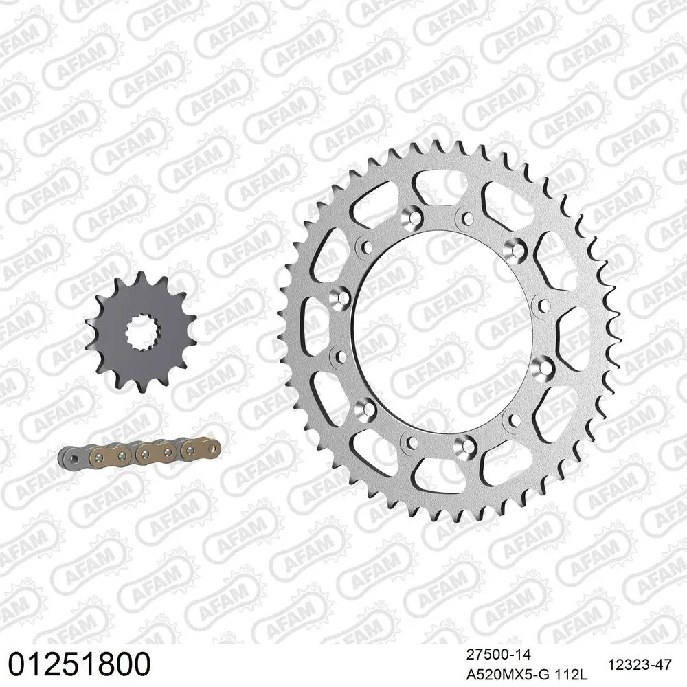 AFAM Kettensatz Stahl 520 MX6-GG 14x47 - Yamaha YZ 450 F 2003-04 - 01251800