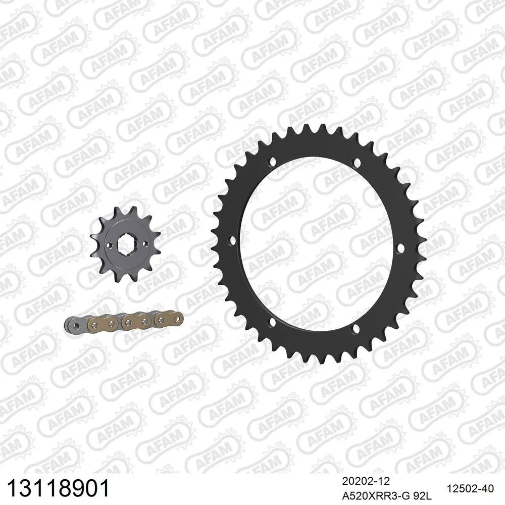 13118901 AFAM Kettensatz Stahl 520 XRR3-G 12x40 - Xroads Stinger 170 2003-04 - 13118901