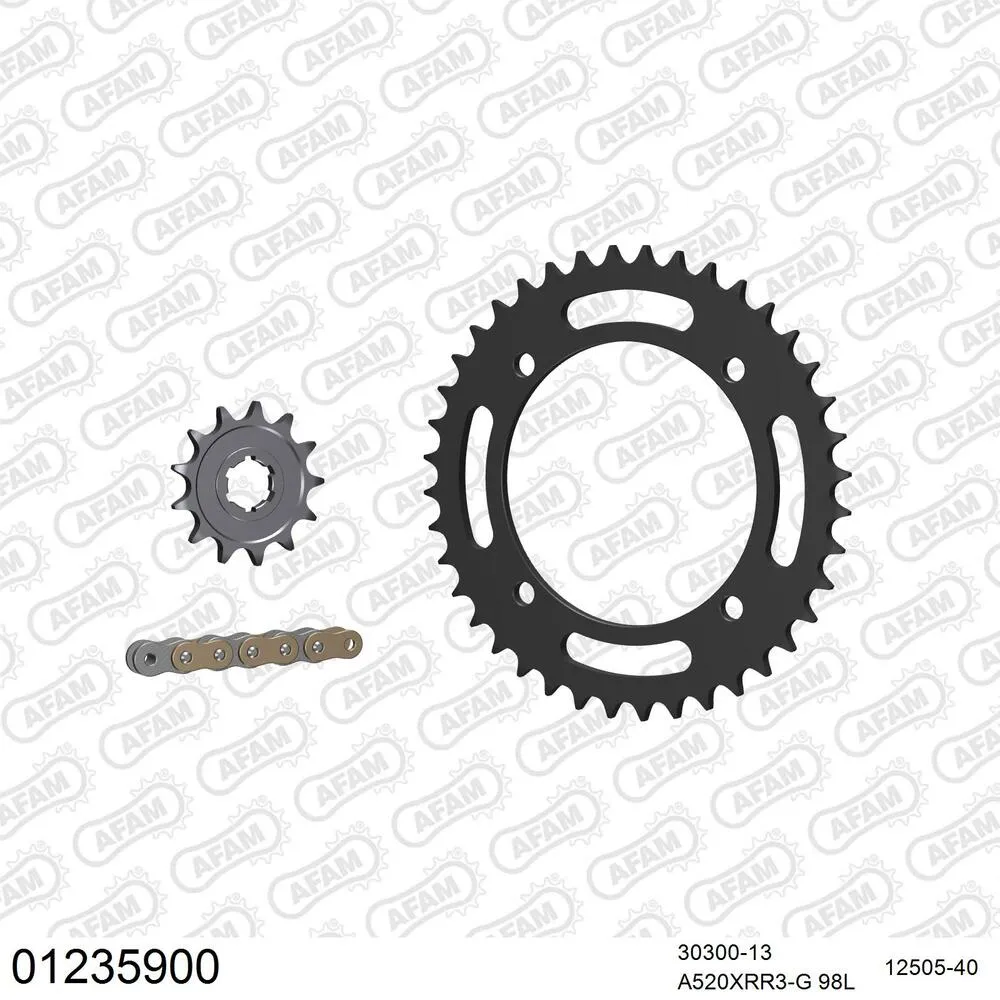 AFAM Kettensatz Stahl 520 XRR3-G 13x40 - Yamaha YFM 350 X Warrior 1987-88 - 01235900