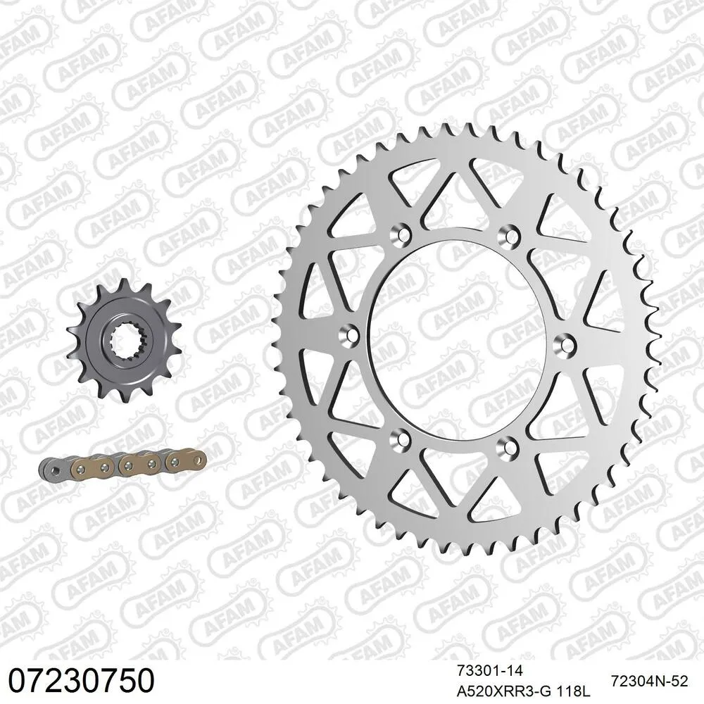 07230750 AFAM Kettensatz Aluminium 520 XRR3-G 14x52 - KTM EXC 300 1998 - 07230750