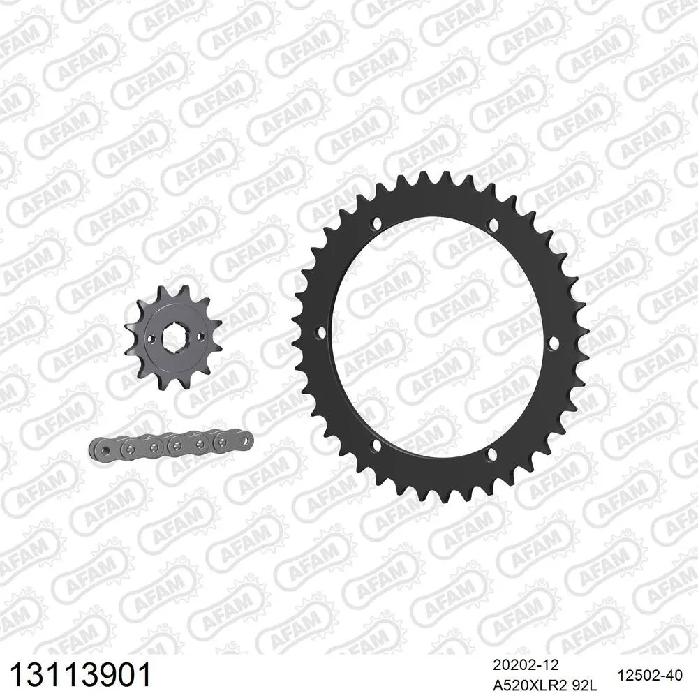 AFAM Kettensatz Stahl 520 XLR2 12x40 - Xroads Stinger 125 2003-04 - 13113901