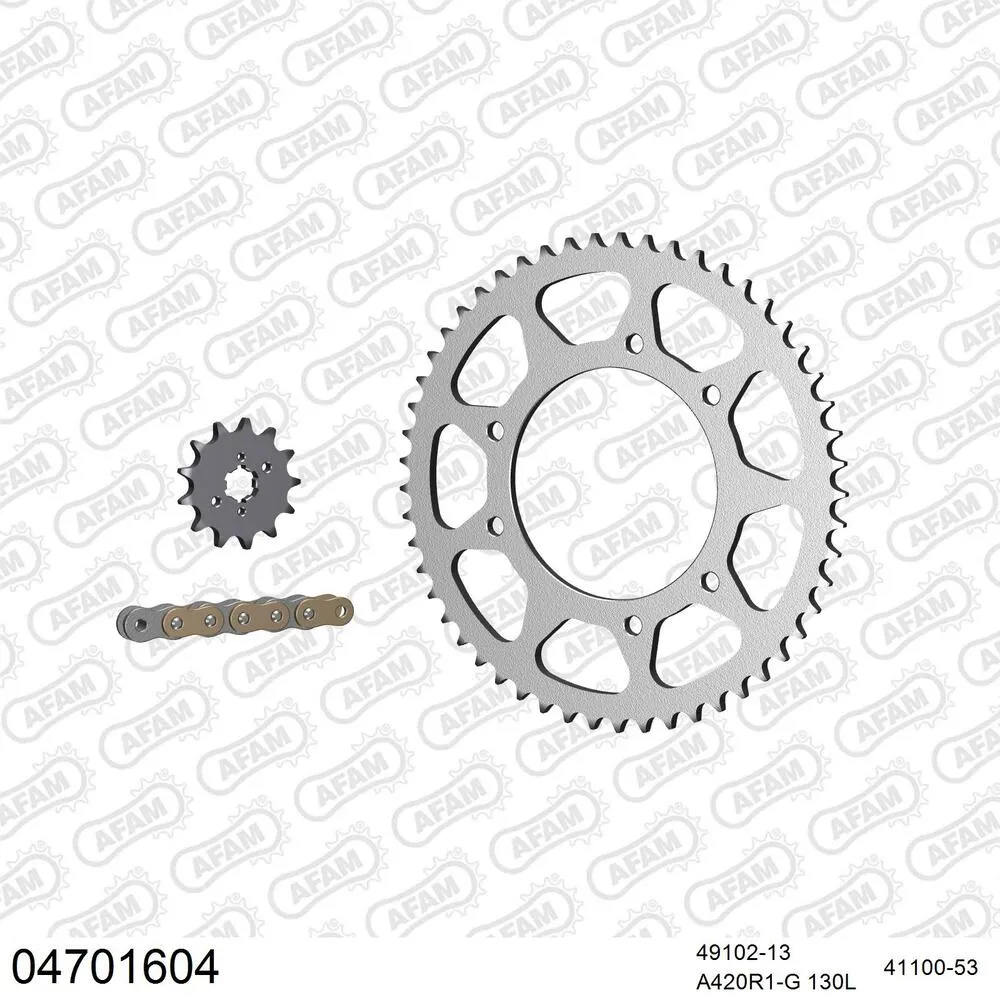 04701604 AFAM Kettensatz Stahl 420 R1-G 13x53 - Derbi DRD 50 R Senda Racing 2002-05 - 04701604
