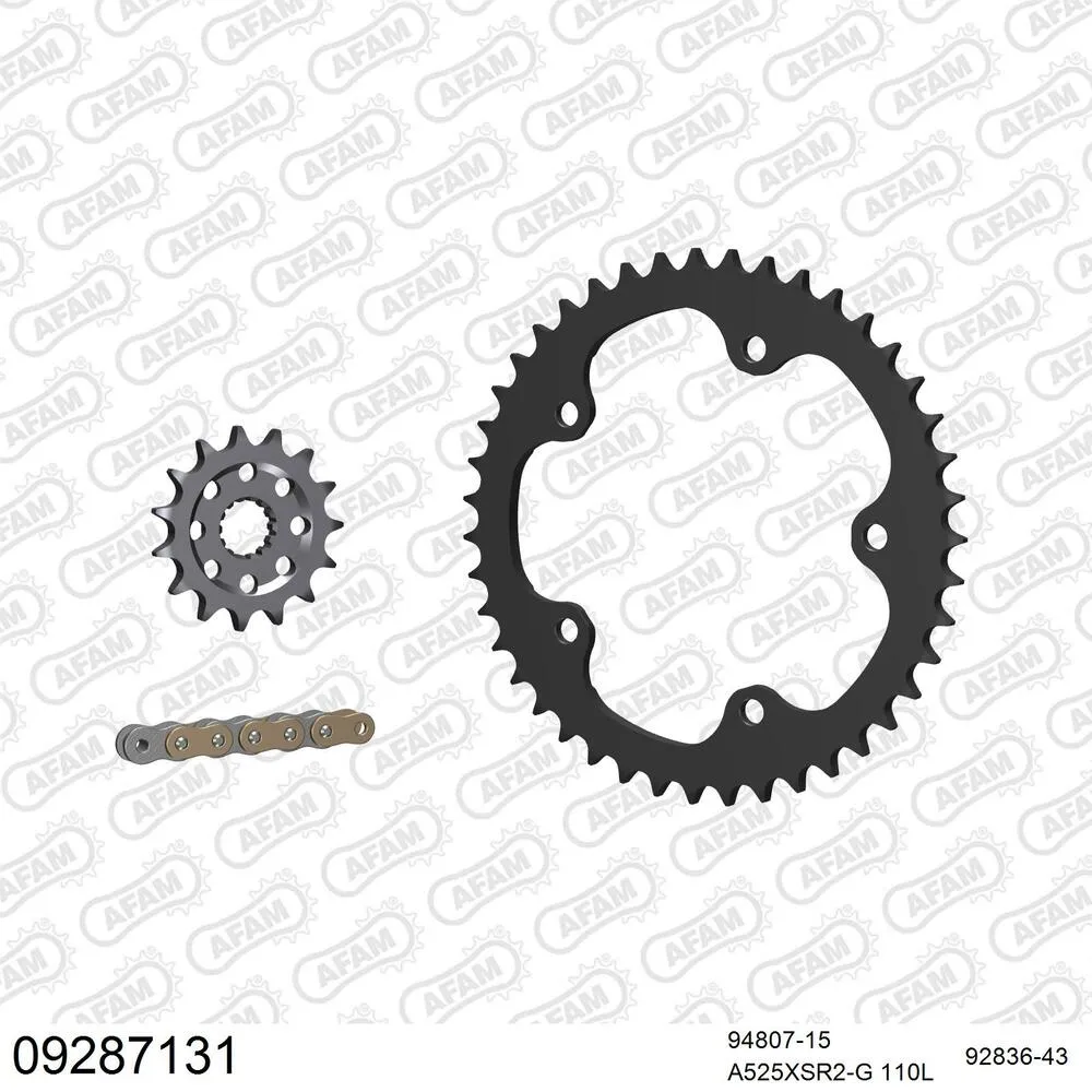 09287131 AFAM Kettensatz Stahl 525 XSR2-G 15x43 - Mv Agusta Brutale 989 R 2008-09 - 09287131