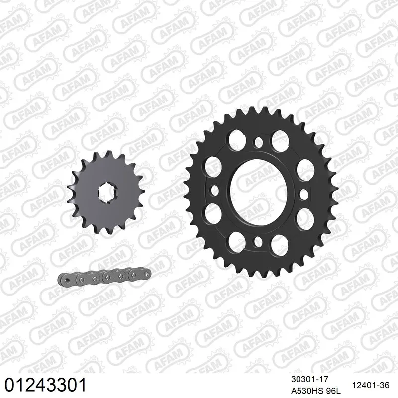 01243301 AFAM Kettensatz Stahl 530 HS 17x36 - Yamaha RD 400 DX 1976-79 - 01243301