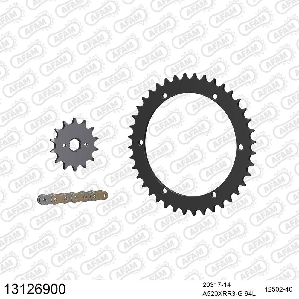 AFAM Kettensatz Stahl 520 XRR3-G 14x40 - Xroads Mustang 250 2003-04 - 13126900