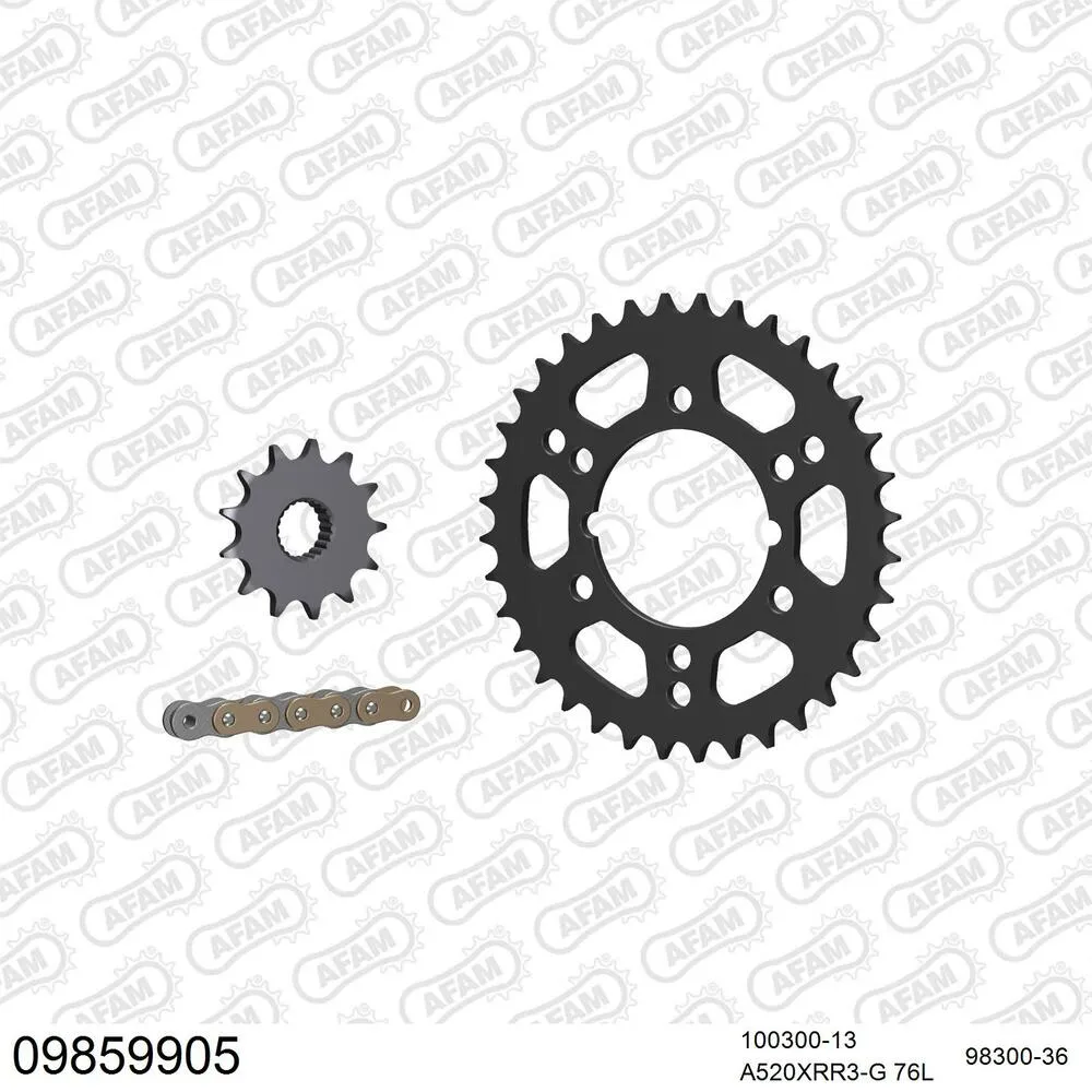 09859905 AFAM Kettensatz Stahl 520 XRR3-G 13x36 - Polaris 500 Scrambler 2000-11 - 09859905