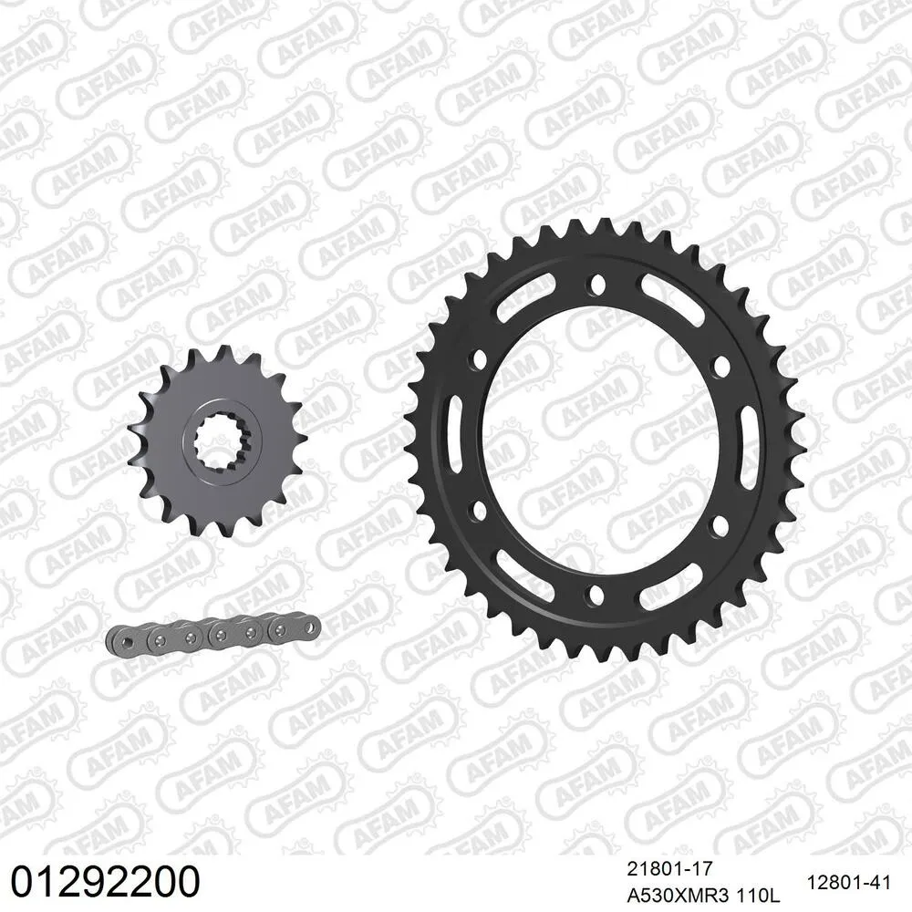 01292200 AFAM Kettensatz Stahl 530 XMR3 17x41 - Yamaha FJ 1100 1984-85 - 01292200