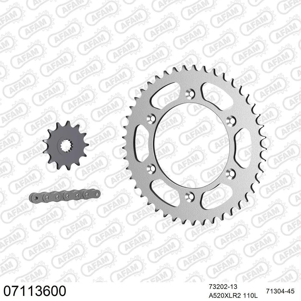 AFAM Kettensatz Stahl 520 XLR2 13x45 - KTM LC2 125 1996-98 - 07113600