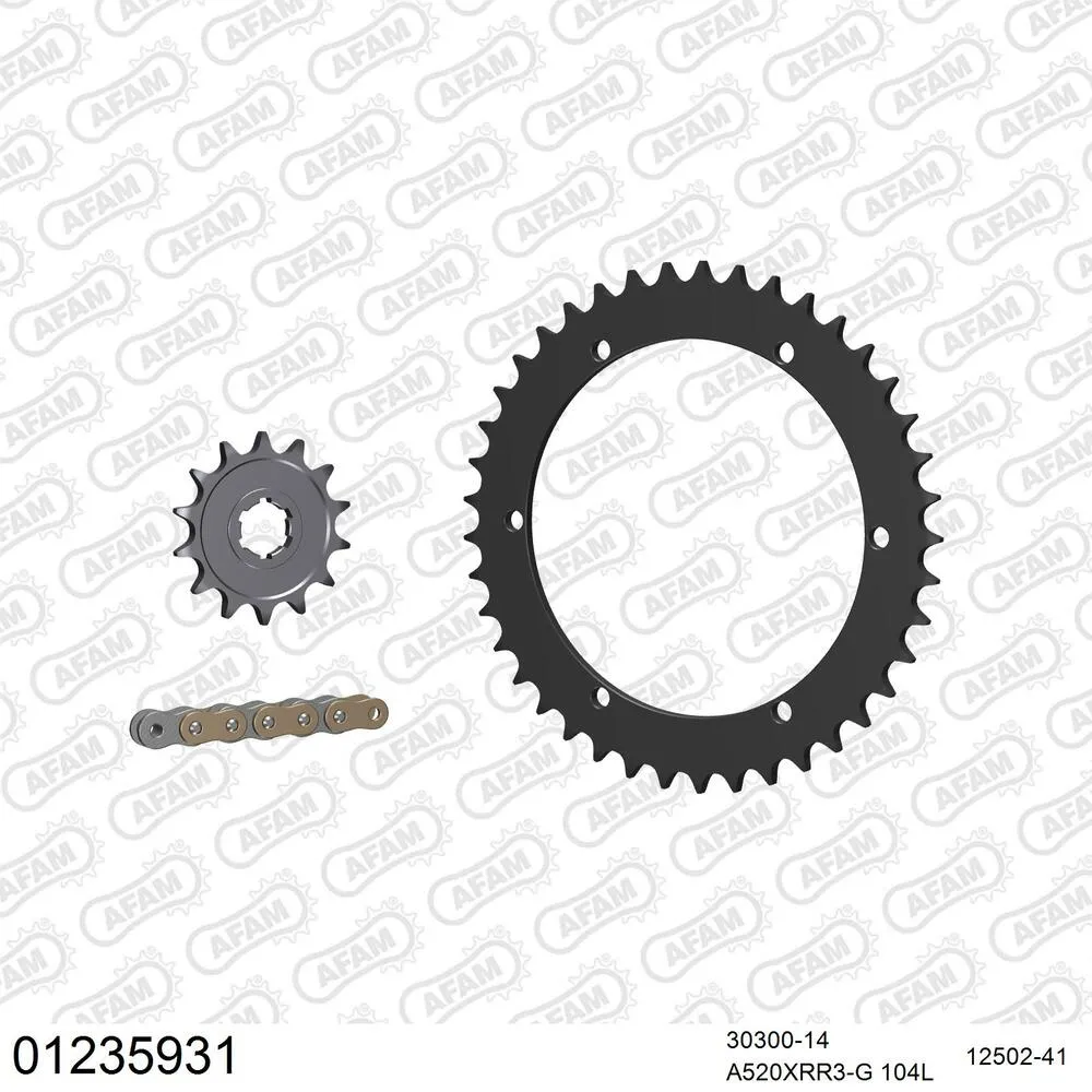 AFAM Kettensatz Stahl 520 XRR3-G 14x41 - Yamaha YFZ 350 Banshee 1989-09 - 01235931
