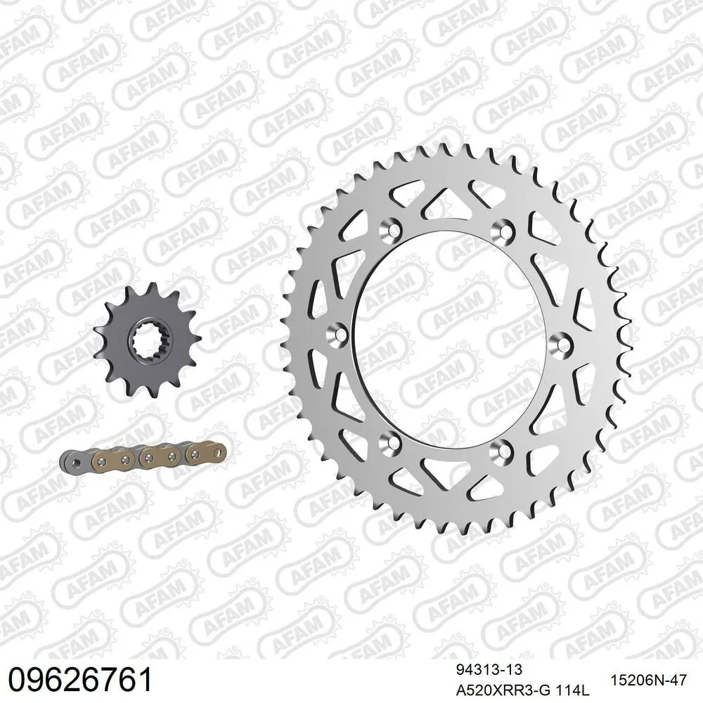 09626761 AFAM Kettensatz Aluminium 520 XRR3-G 13x47 - Gasgas EC 250 1997-00 - 09626761