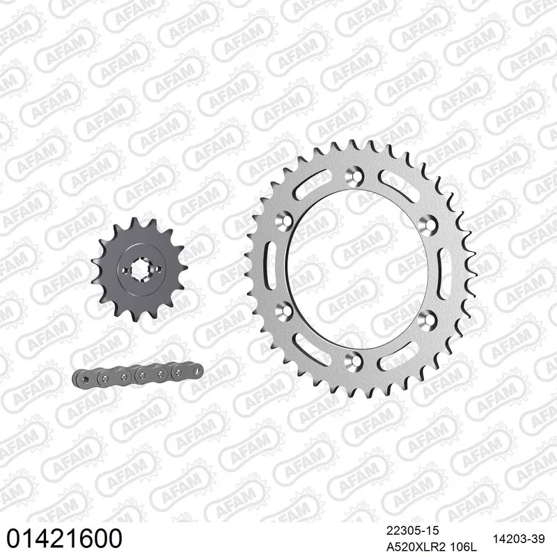 AFAM Kettensatz Stahl 520 XLR2 15x39 - Suzuki TS 200 R 1989-94 - 01421600