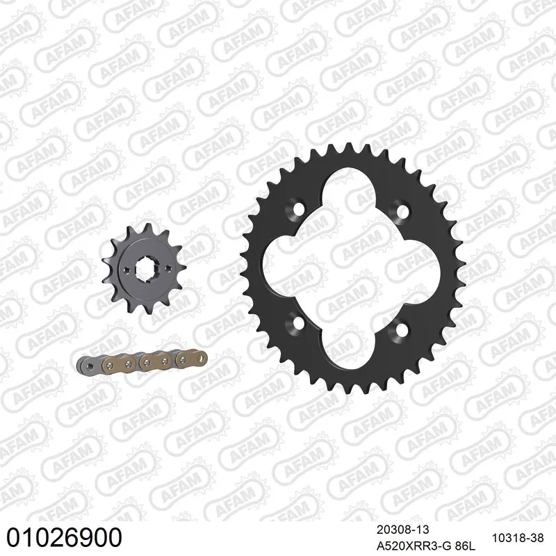 AFAM Kettensatz Stahl 520 XRR3-G 13x38 - Honda TRX 250 X 1987-92 - 01026900