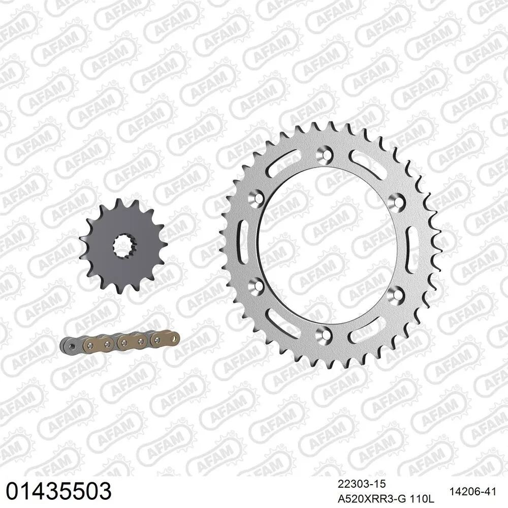AFAM Kettensatz Stahl 520 XRR3-G 15x41 - Suzuki DR 350 SE 1994-95 - 01435503