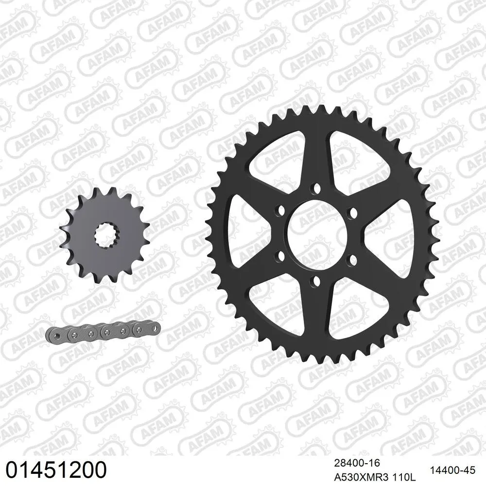 01451200 AFAM Kettensatz Stahl 530 XMR3 16x45 - Suzuki GS 450 E 1982-88 - 01451200
