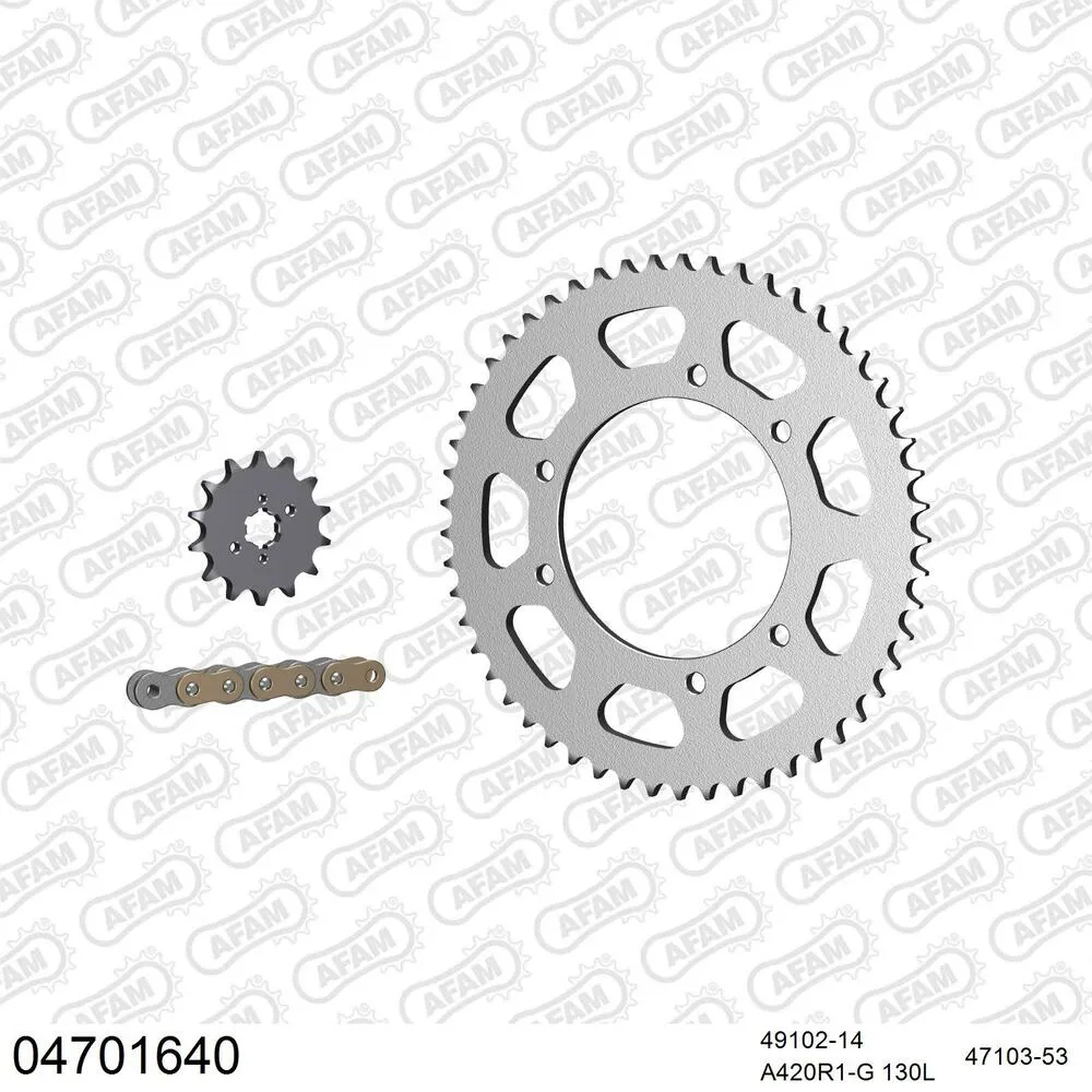 AFAM Kettensatz Stahl 420 R1-G 14x53 - Derbi 50 SM Senda X Race 2004-05 - 04701640