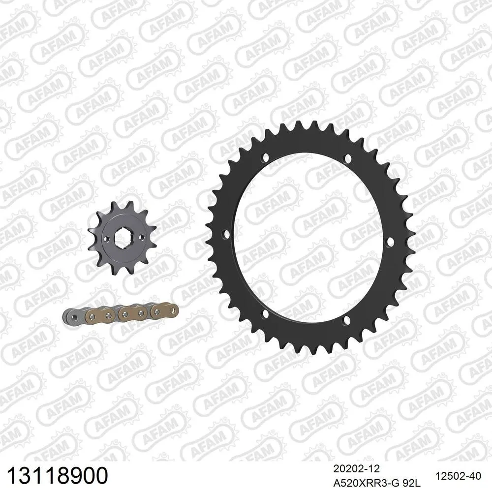 13118900 AFAM Kettensatz Stahl 520 XRR3-G 12x40 - Xroads Mustang 170 2003-04 - 13118900