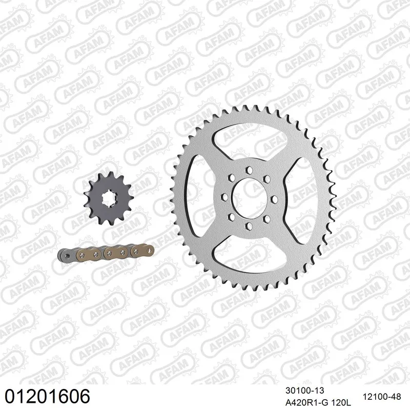 AFAM Kettensatz Stahl 420 R1-G 13x48 - Yamaha DT 50 R 1989-97 - 01201606