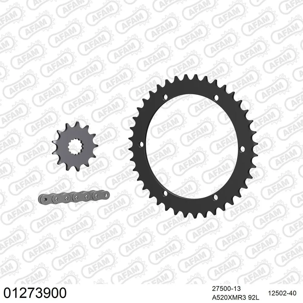 01273900 AFAM Kettensatz Stahl 520 XMR3 13x40 - Yamaha YFM 660 R Raptor 2001-06 - 01273900