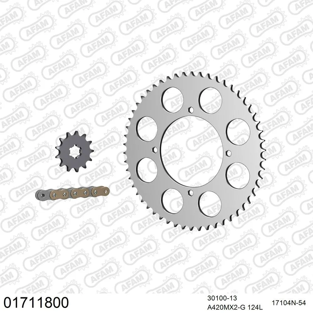 01711800 AFAM Kettensatz Aluminium 420 MX2-G 13x54 - Kawasaki KX 100 1995-97 - 01711800