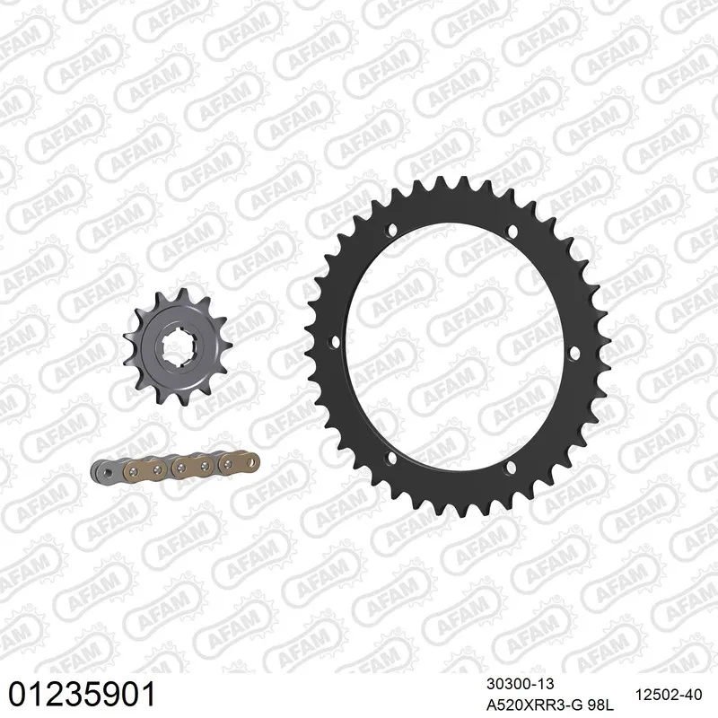 AFAM Kettensatz Stahl 520 XRR3-G 13x40 - Yamaha YFM 350 X Warrior 1989-04 - 01235901