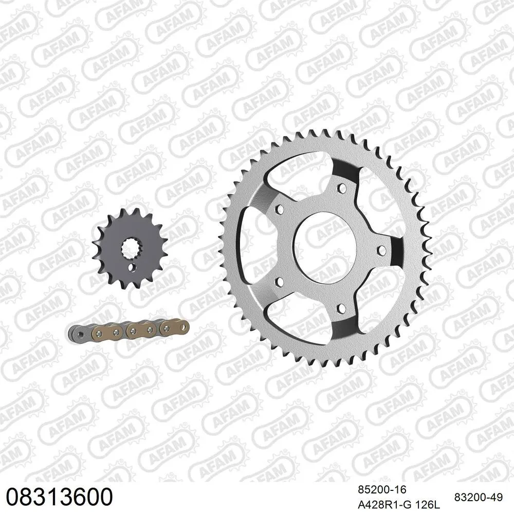AFAM Kettensatz Stahl 428 R1-G 16x49 - Mz (muz) RT 125 2001-07 - 08313600