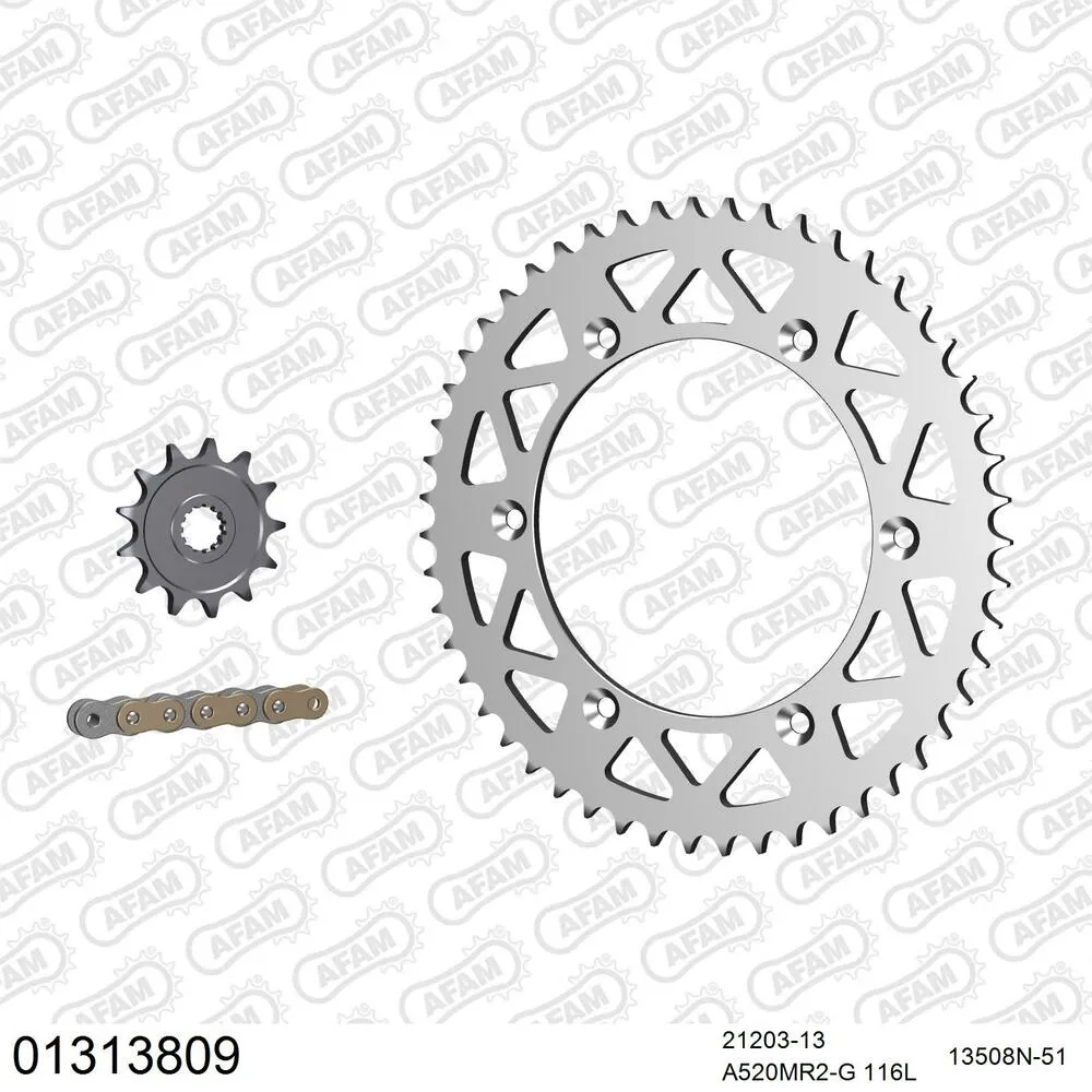 AFAM Kettensatz Aluminium 520 MR2-G 13x51 - Yamaha YZ 125 1990-92 - 01313809