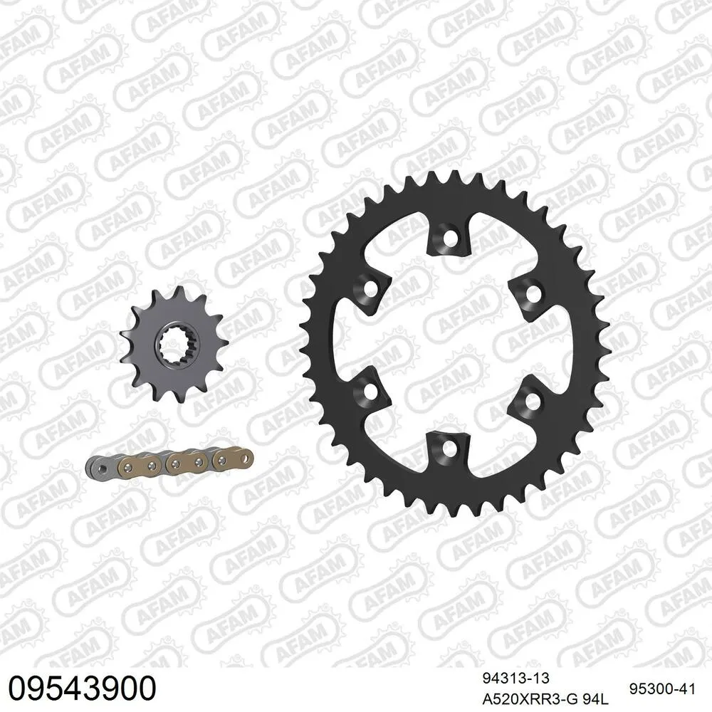 AFAM Kettensatz Stahl 520 XRR3-G 13x41 - Gasgas HP 400 Wild Quad 2003 - 09543900