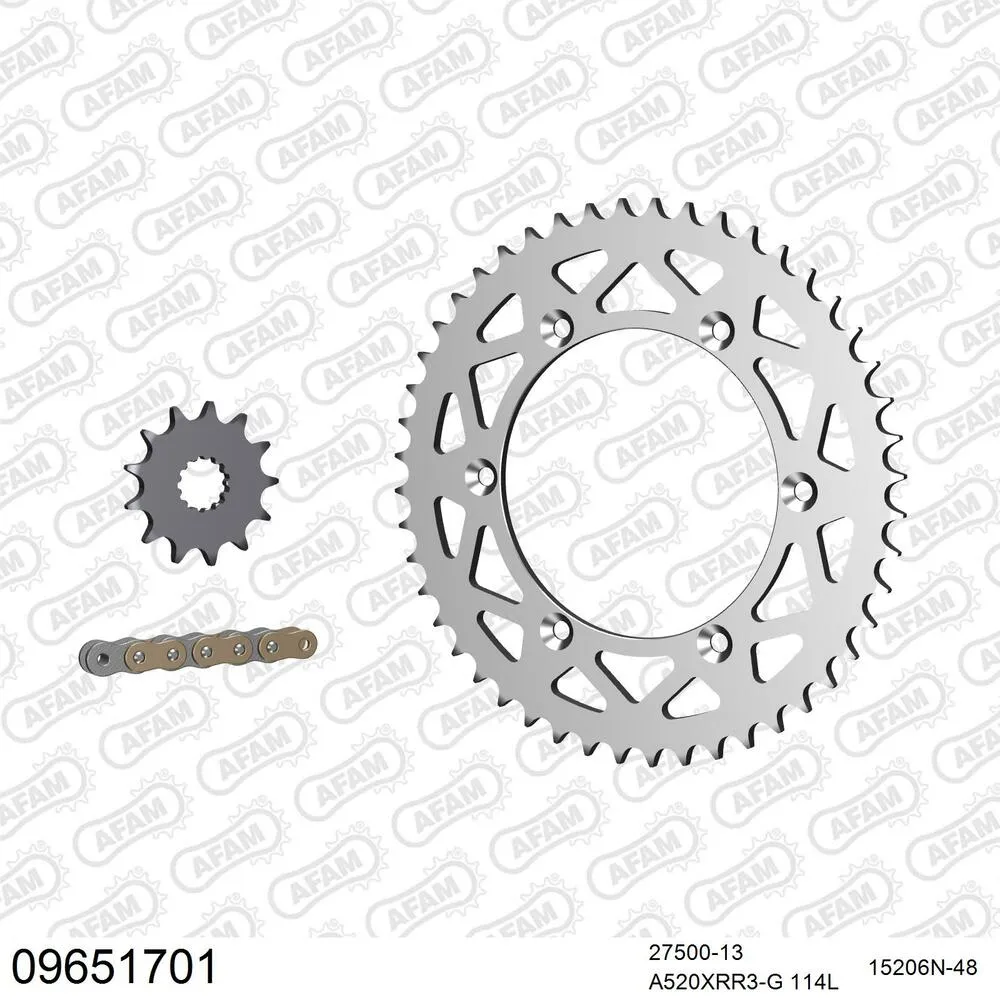 09651701 AFAM Kettensatz Aluminium 520 XRR3-G 13x48 - Gasgas EC 450 F 2013-15 - 09651701