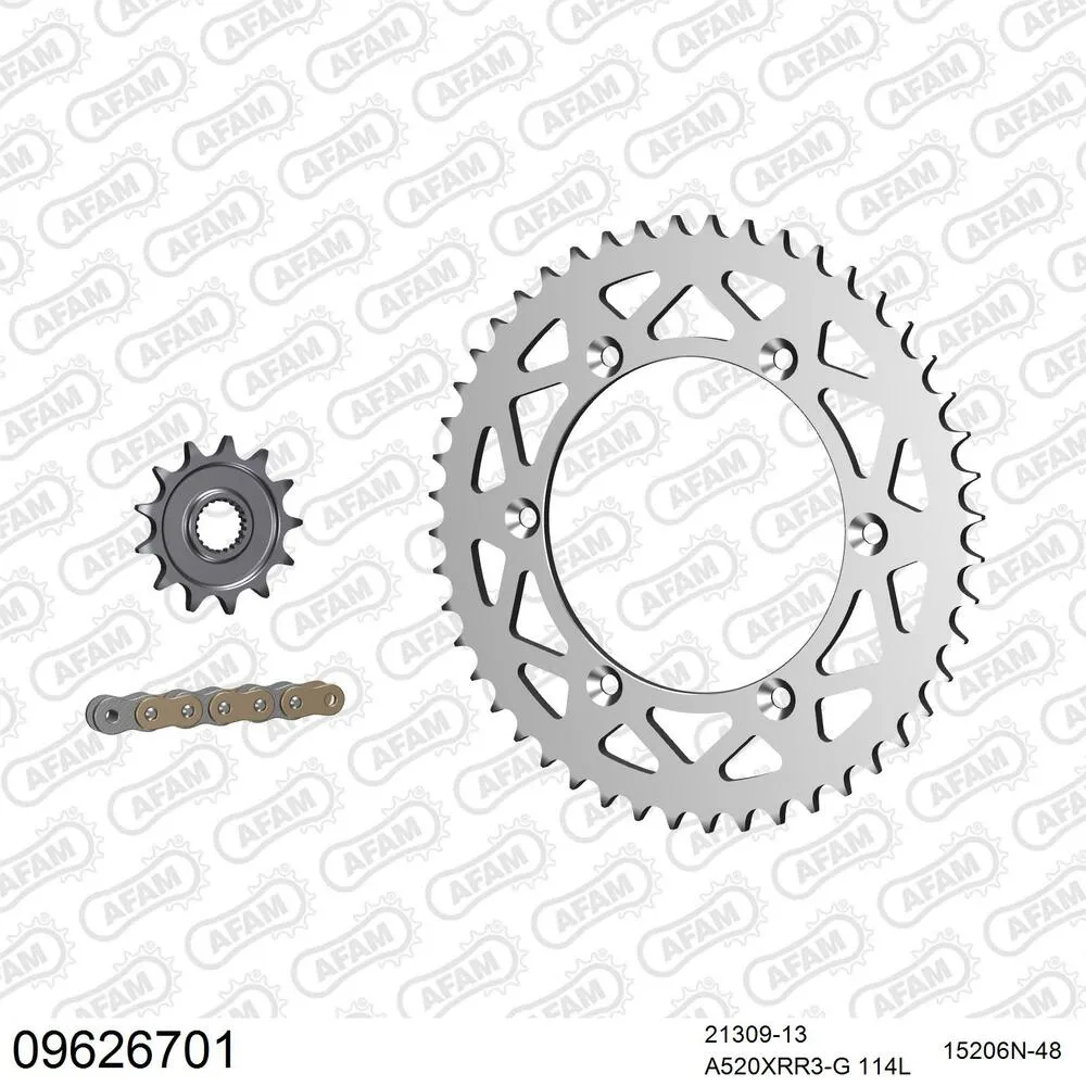 AFAM Kettensatz Aluminium 520 XRR3-G 13x48 - Gasgas EC 250 F 2013-15 - 09626701