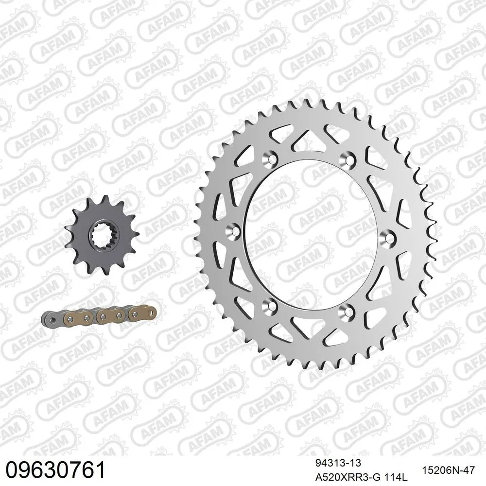 AFAM Kettensatz Aluminium 520 XRR3-G 13x47 - Gasgas EC 300 2000 - 09630761