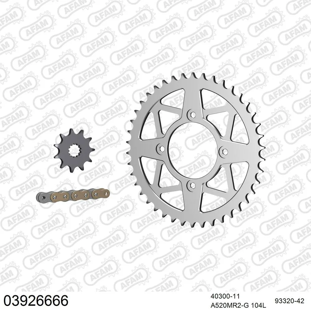 03926666 AFAM Kettensatz Aluminium 520 MR2-G 11x42 - Beta Evo 250 2009-19 - 03926666