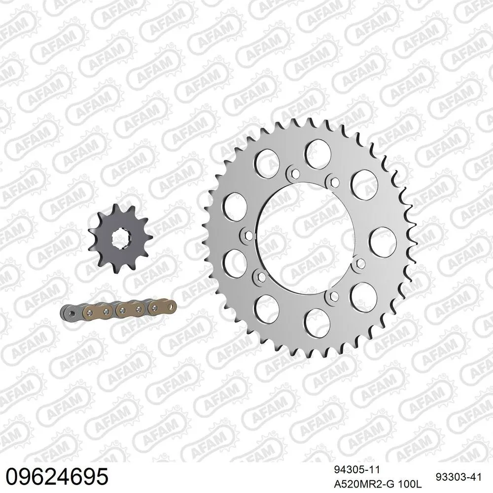 09624695 AFAM Kettensatz Aluminium 520 MR2-G 11x41 - Gasgas TXT 249 1999-01 - 09624695
