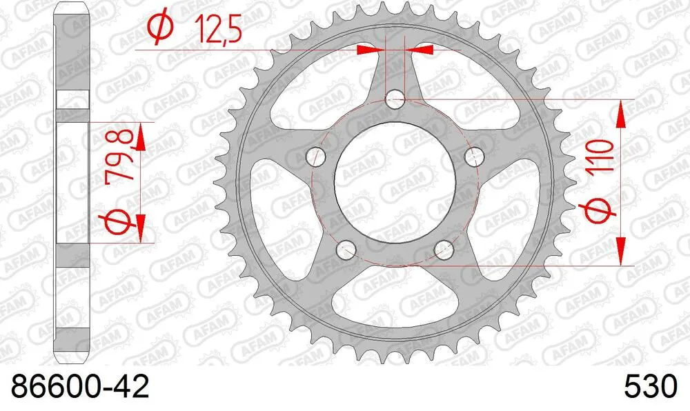 86600-42 AFAM Kettensatz Stahl 530 XSR2-G 18x42 - Triumph Trophy 1200 1996-98 - 08695202
