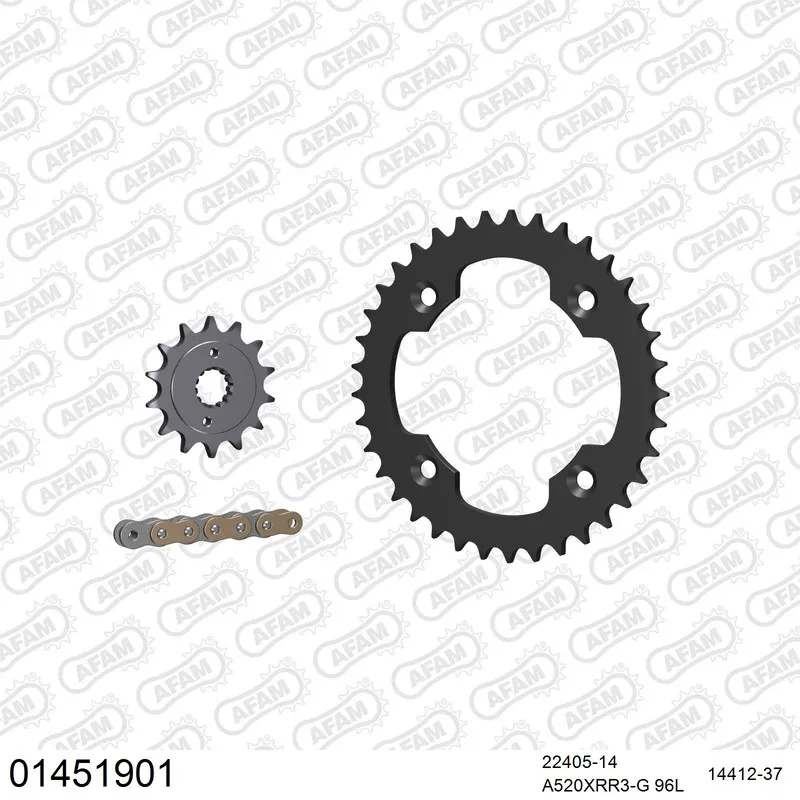 01451901 AFAM Kettensatz Stahl 520 XRR3-G 14x37 - Suzuki LT-R 450 Quadracer 2008-11 - 01451901