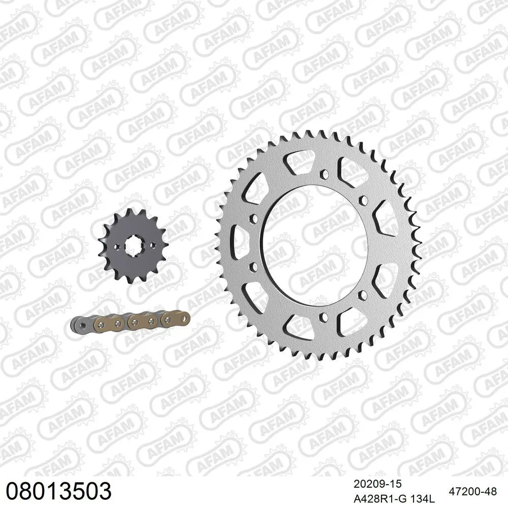 AFAM Kettensatz Stahl 428 R1-G 15x48 - Rieju 125 AC Marathon 2012-20 - 08013503