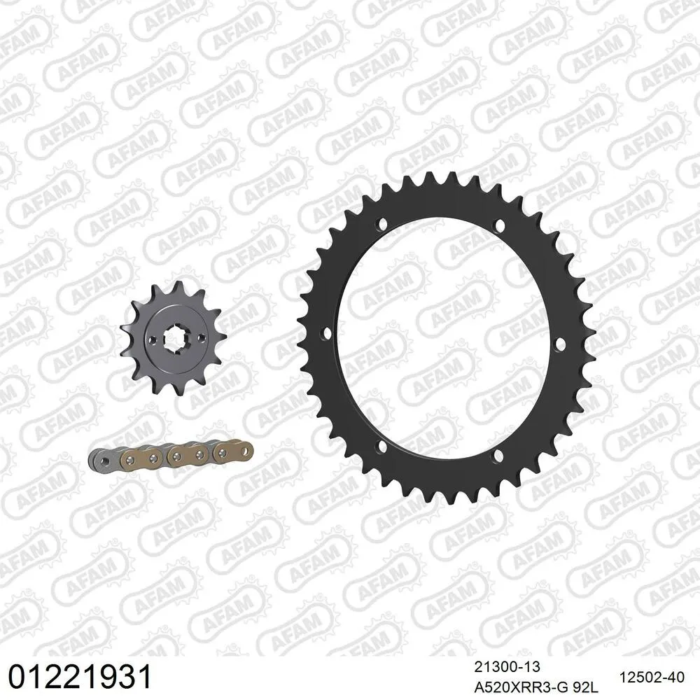 AFAM Kettensatz Stahl 520 XRR3-G 13x40 - Yamaha YFS 200 Blaster 1988-06 - 01221931
