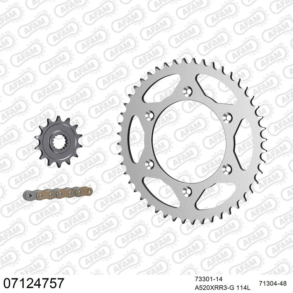 AFAM Kettensatz Stahl 520 XRR3-G 14x48 - KTM EXC 250 2004 - 07124757