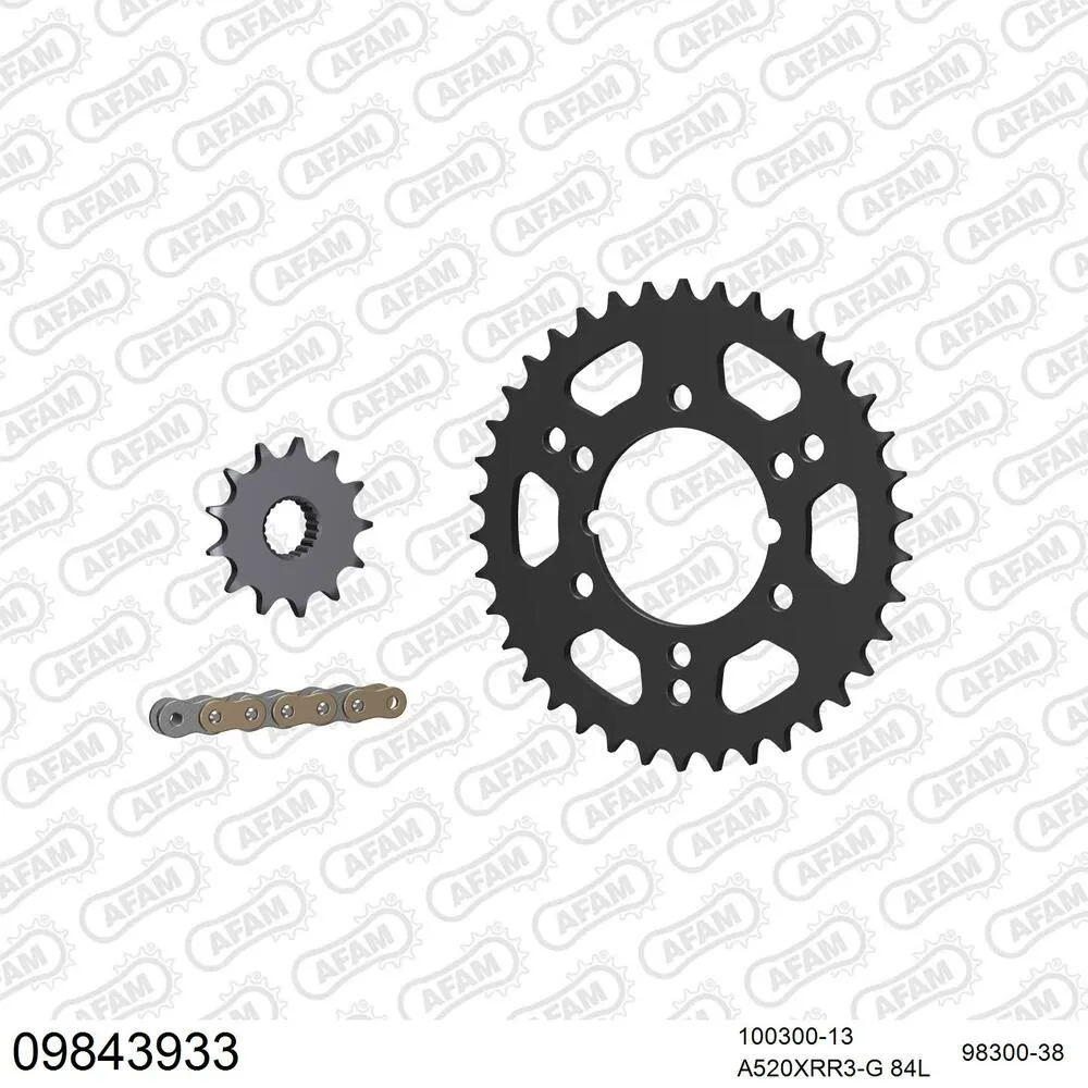 09843933 AFAM Kettensatz Stahl 520 XRR3-G 13x38 - Polaris 400 Scrambler 1998-99 - 09843933