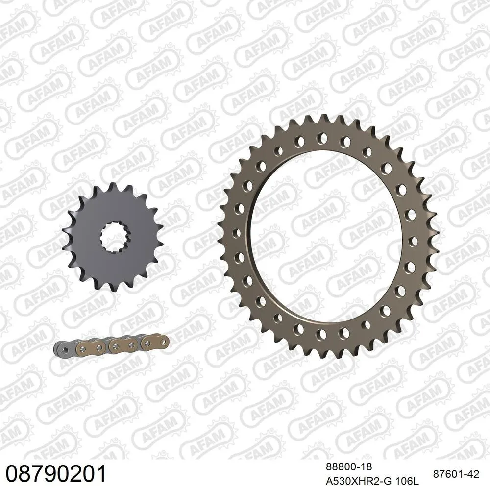 AFAM Kettensatz Aluminium 530 XHR2-G 18x42 - Triumph Speed Triple 1050 2005-10 - 08790201