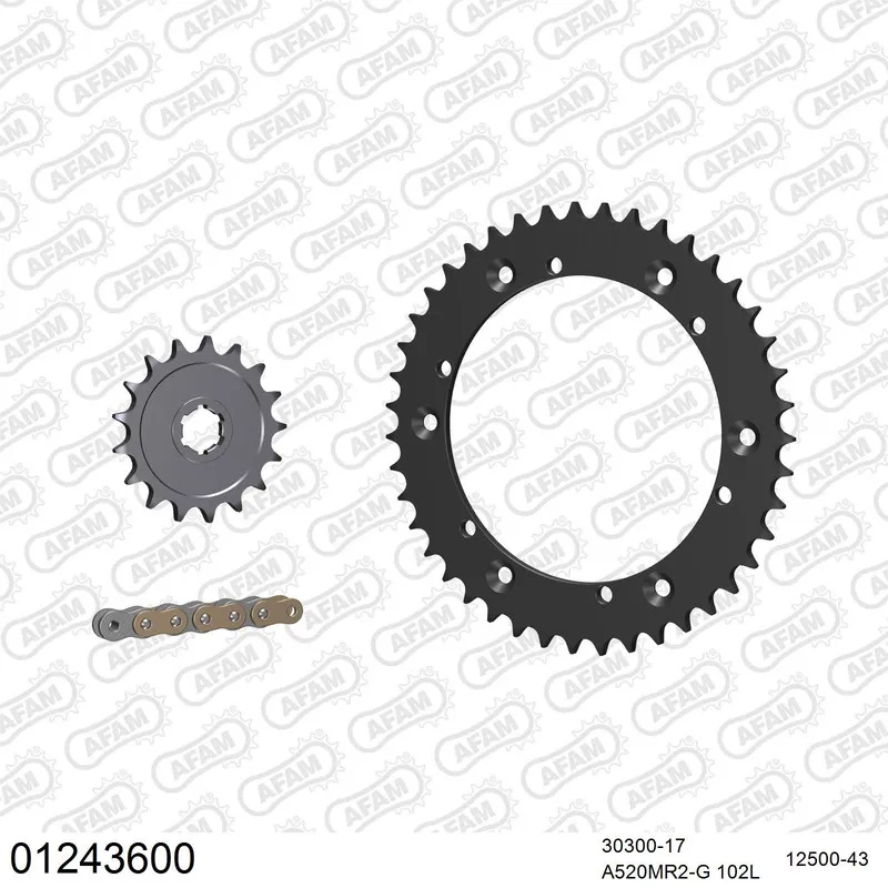 01243600 AFAM Kettensatz Stahl 520 MR2-G 17x43 - Yamaha DT 400 MX 1977-78 - 01243600