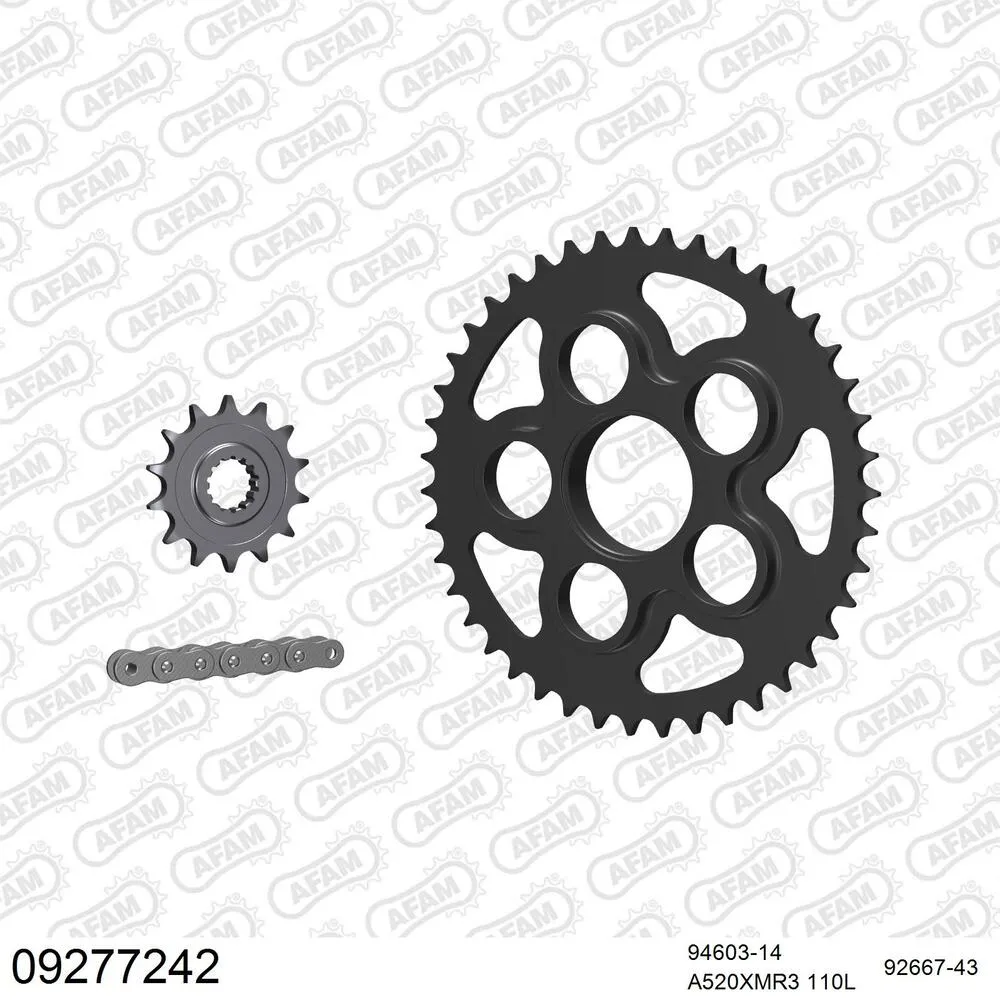 09277242 AFAM Kettensatz Stahl 520 XMR3 14x43 - Mv Agusta F4 750 S 2002 - 09277242