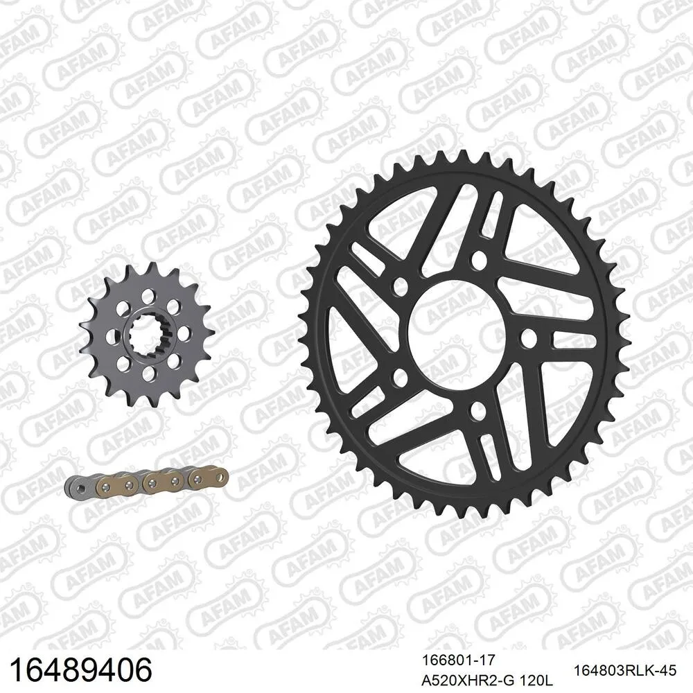 AFAM Racing Kettensatz Stahl 520 XHR2-G 17x45 - BMW S 1000 RR 2014-18 - 16489406