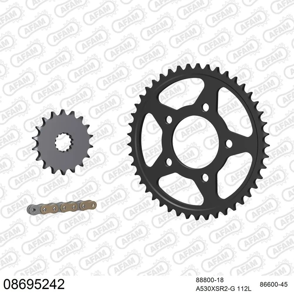 08695242 AFAM Kettensatz Stahl 530 XSR2-G 18x45 - Triumph Daytona 1200 1993 - 08695242